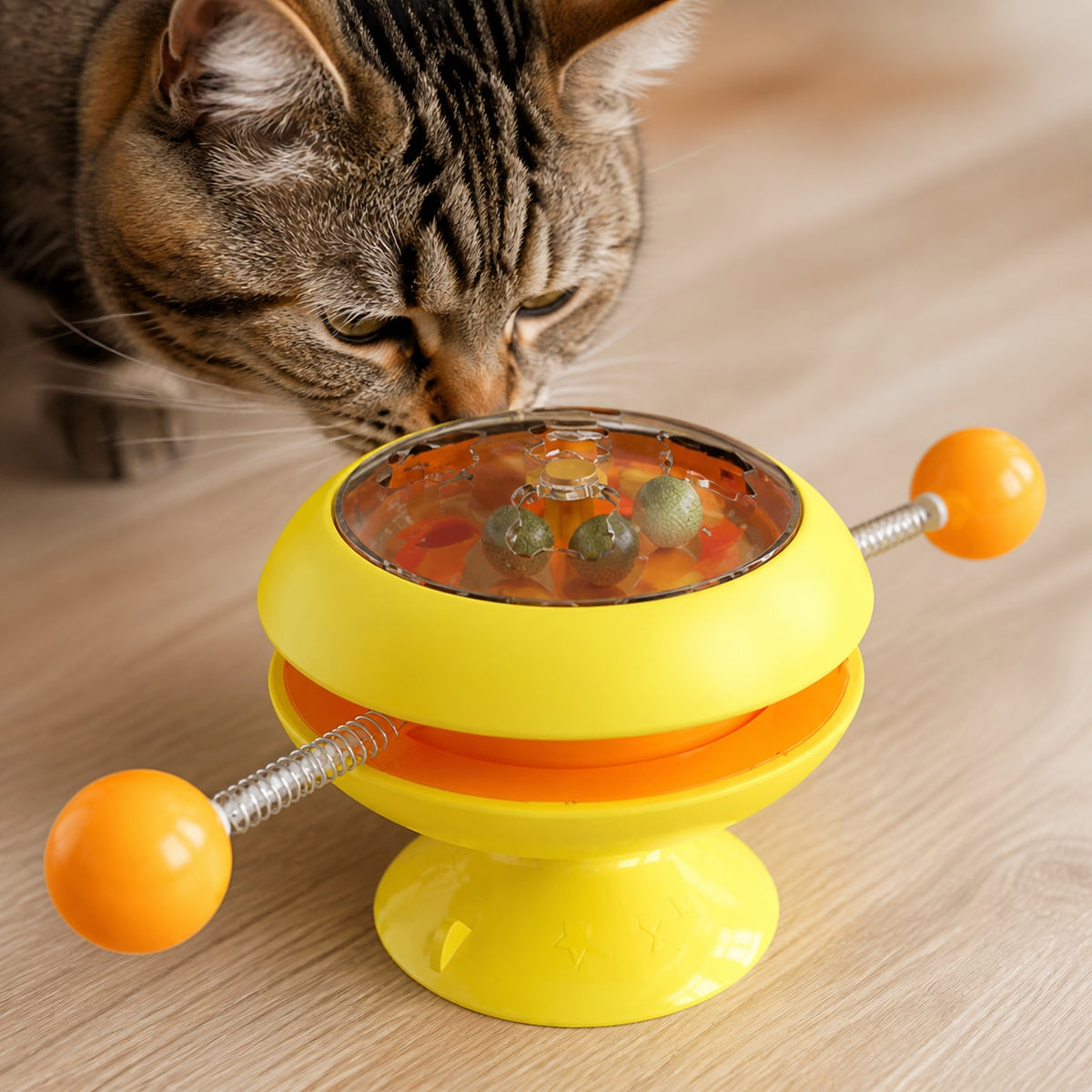 A catnip point of interest