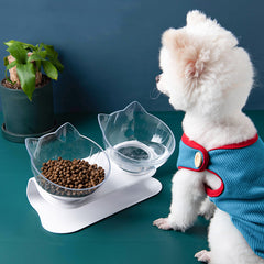 WhiskerEase Tilted Cat Bowl – product view