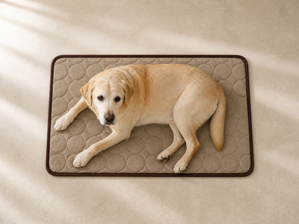 Measure the sleeping footprint, not just body length.