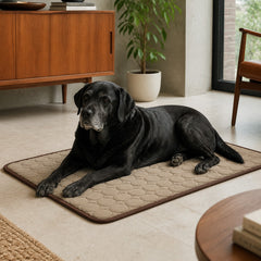 ChillRest Pet Cooling Mat shown in an everyday pet routine