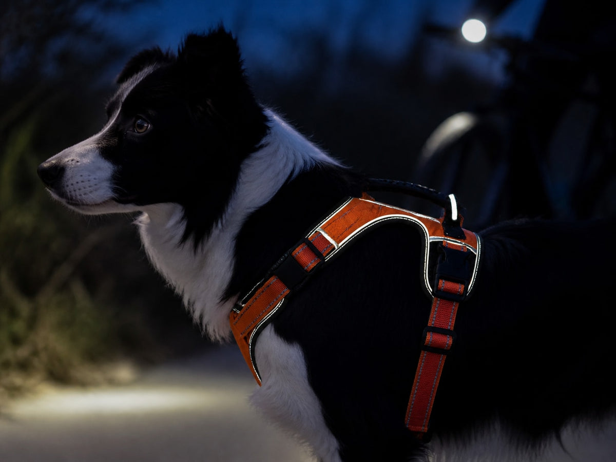 Reflective detail for darker routines