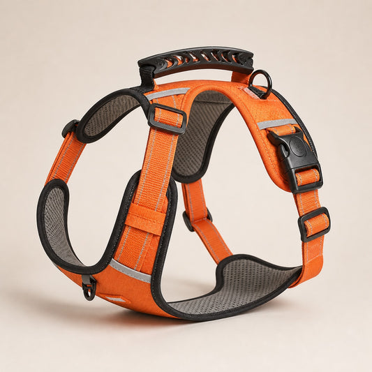 CloudFit Reflective Comfort Harness premium product view