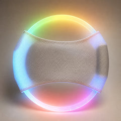 GlowFlight LED Dog Disc variant Colorful Light