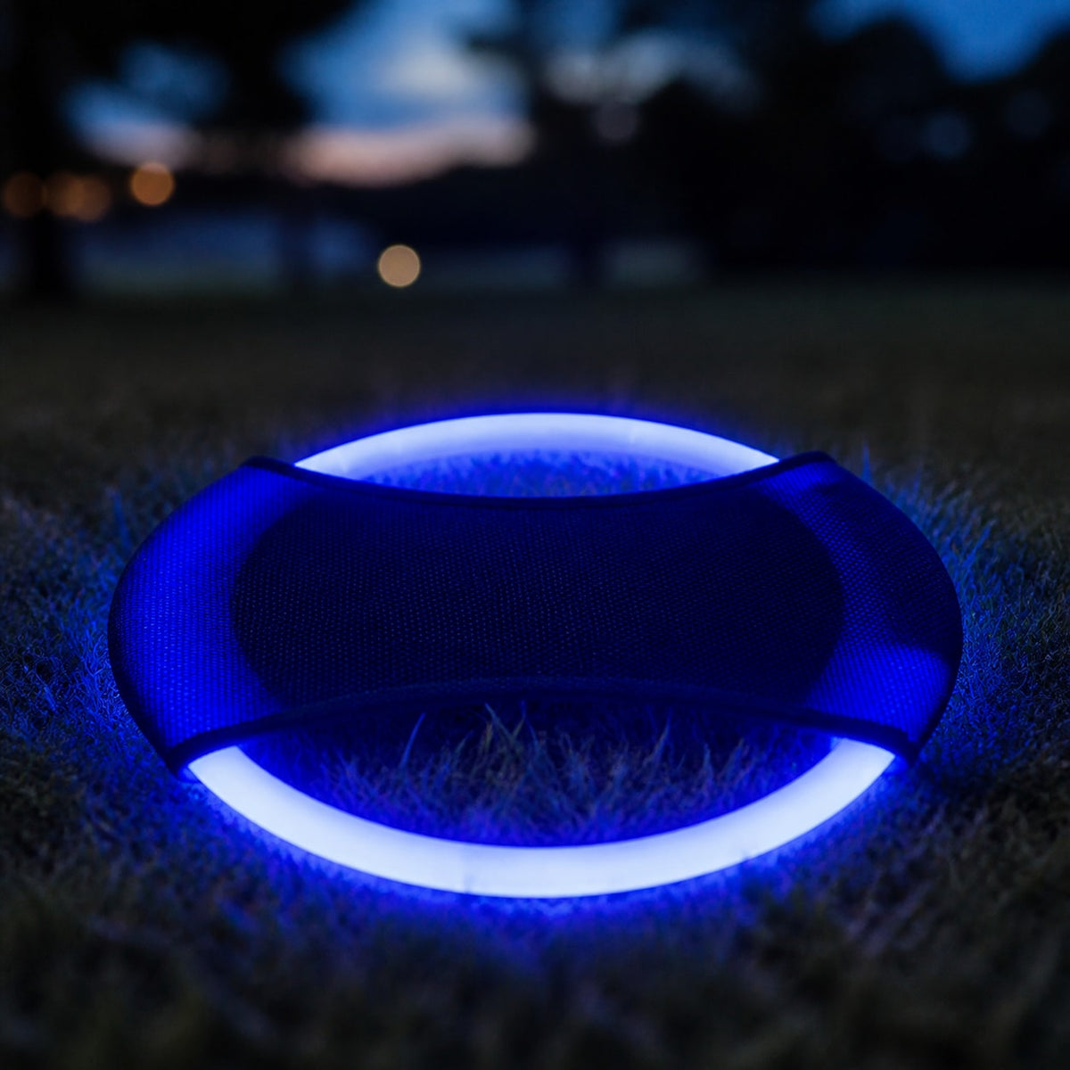 Follow the disc through lower light
