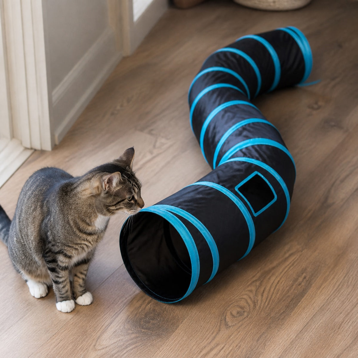 Check the tunnel diameter against your cat.