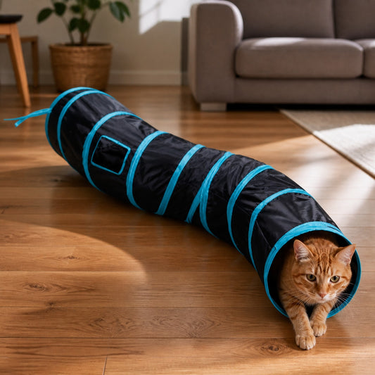 Hideaway S-Curve Cat Tunnel shown in an everyday pet routine