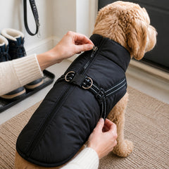 How to use the NorthPaw Harnessed Winter Coat