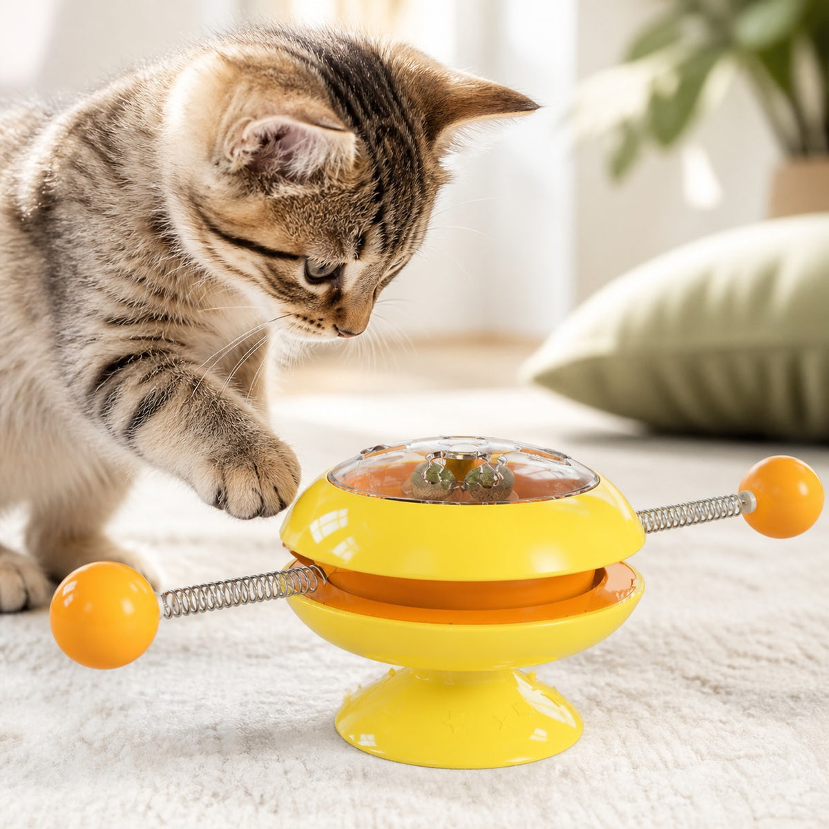 PurrSpin Catnip Play Wheel material and construction detail