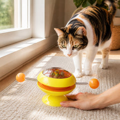 PurrSpin Catnip Play Wheel ready for daily use at home