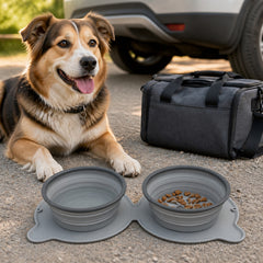 RoamReady Collapsible Double Bowl Set supporting an easier everyday routine