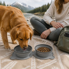 RoamReady Collapsible Double Bowl Set shown in an everyday pet routine