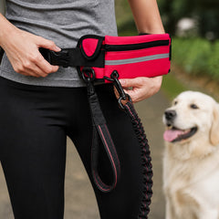 How to use the RunFree Hands-Free Bungee Leash