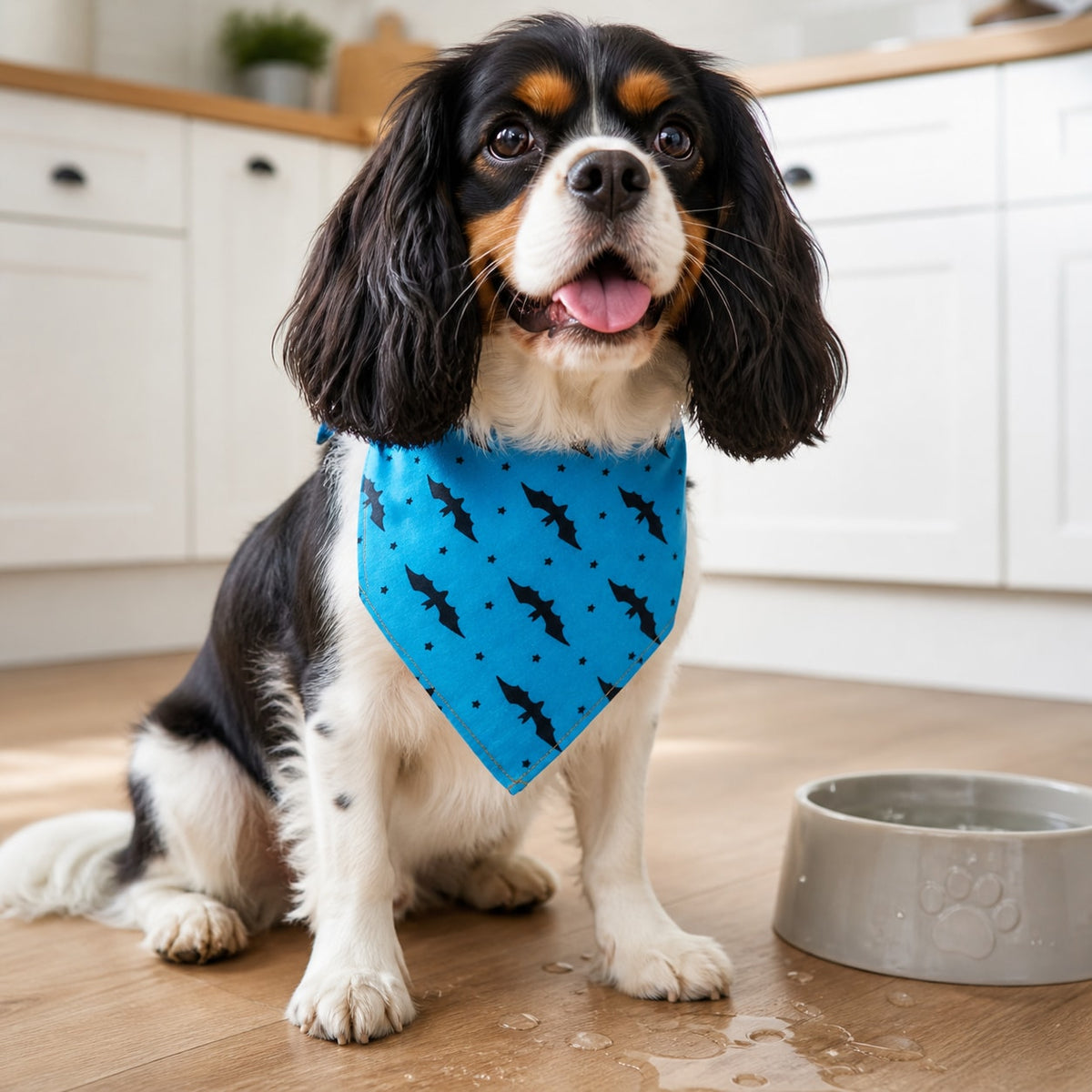 SoftFold Pet Bandana Bib supporting an easier everyday routine
