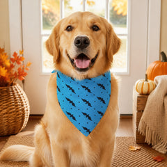 SoftFold Pet Bandana Bib shown in an everyday pet routine