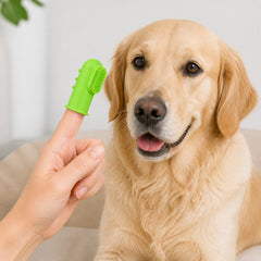 How to use the SoftTouch Pet Finger Toothbrush