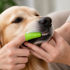 SoftTouch Pet Finger Toothbrush shown in an everyday pet routine