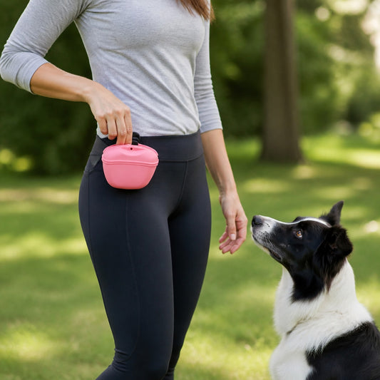 TreatReady Dog Training Pouch shown in an everyday pet routine