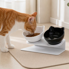 WhiskerEase Tilted Cat Bowl supporting an easier everyday routine