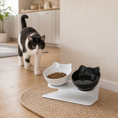 WhiskerEase Tilted Cat Bowl ready for daily use at home