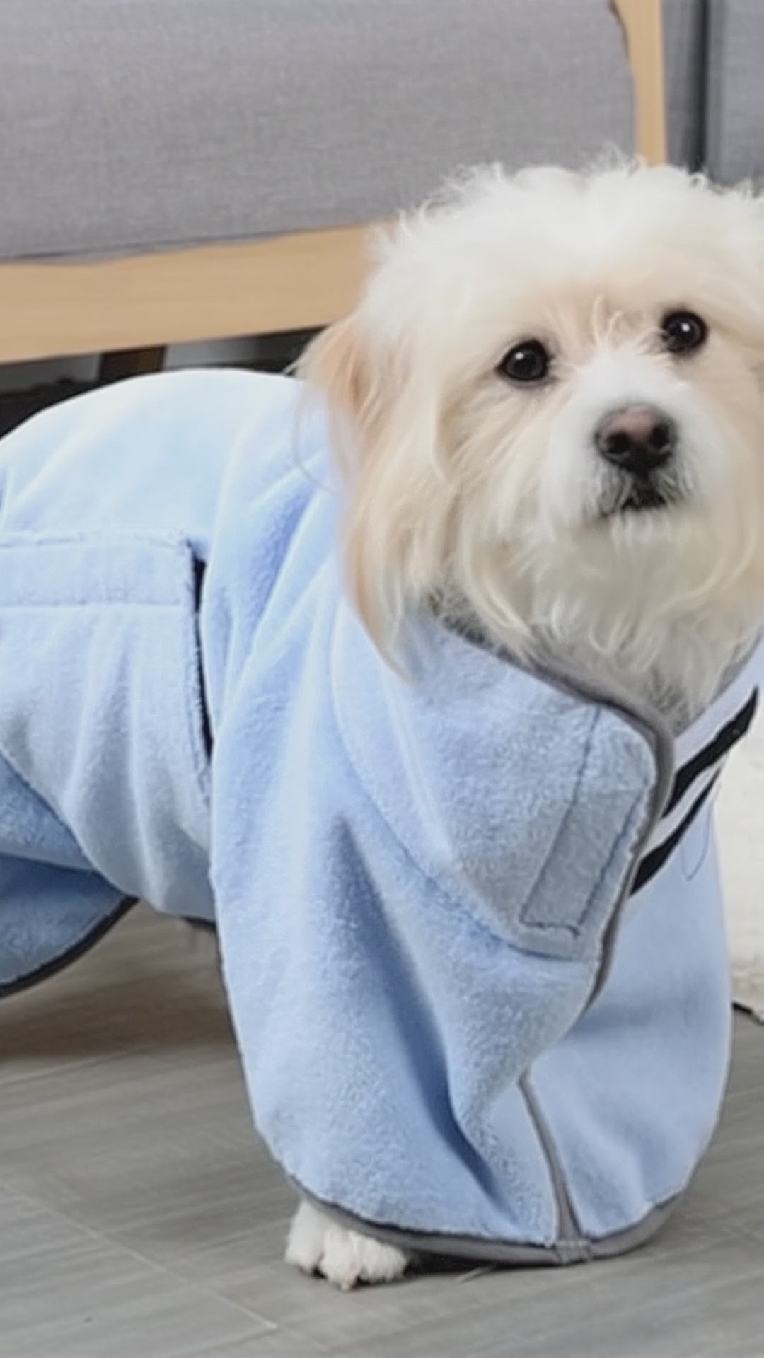 CloudDry Quick-Dry Dog Robe