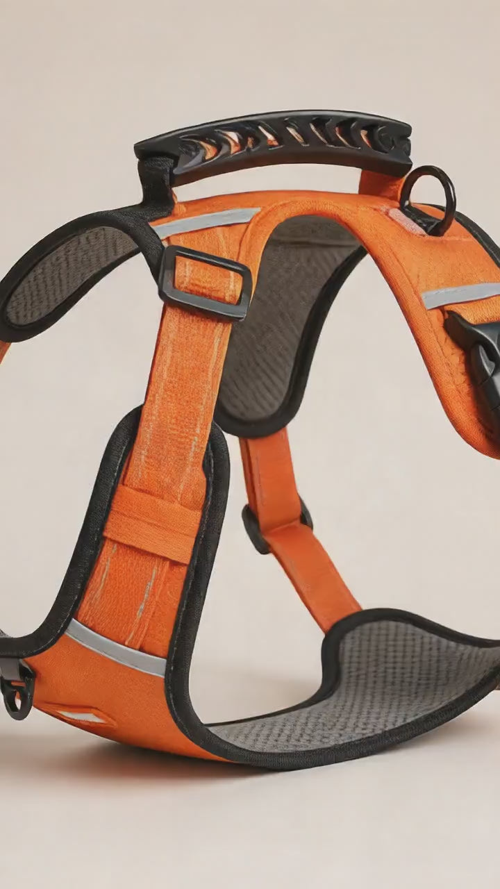 CloudFit Reflective Comfort Harness