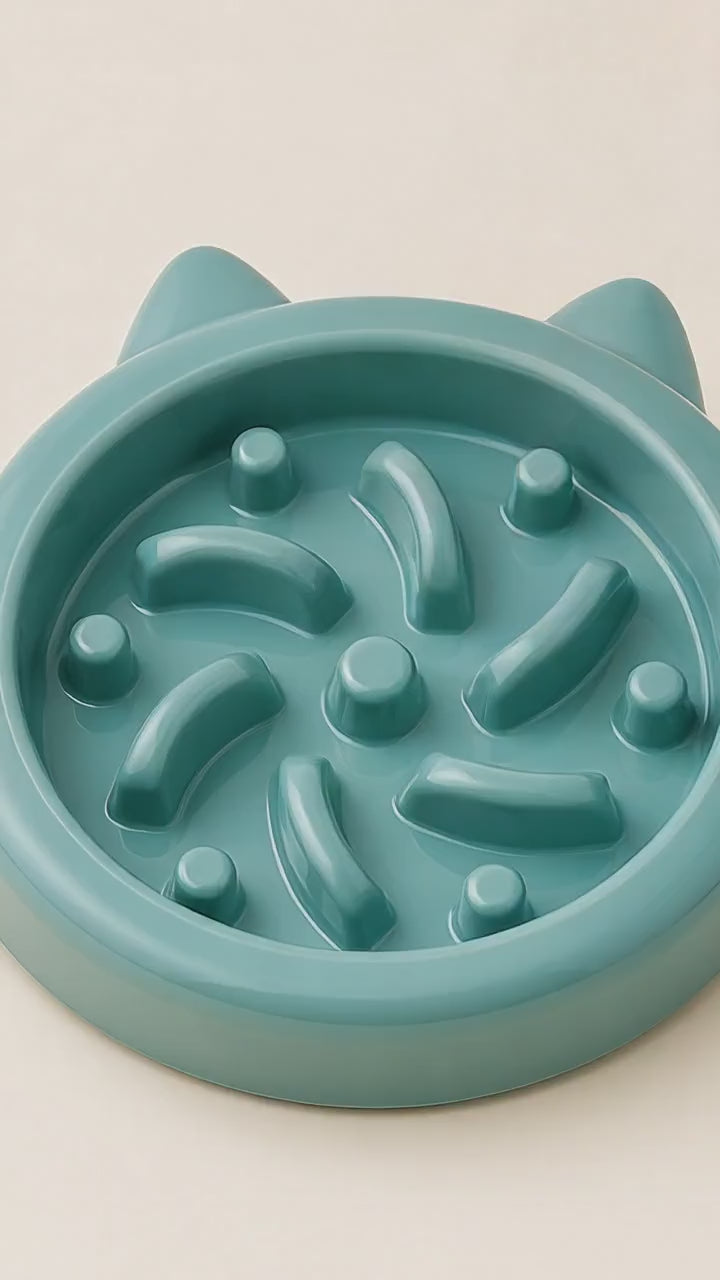 SlowSavour Pet Enrichment Bowl