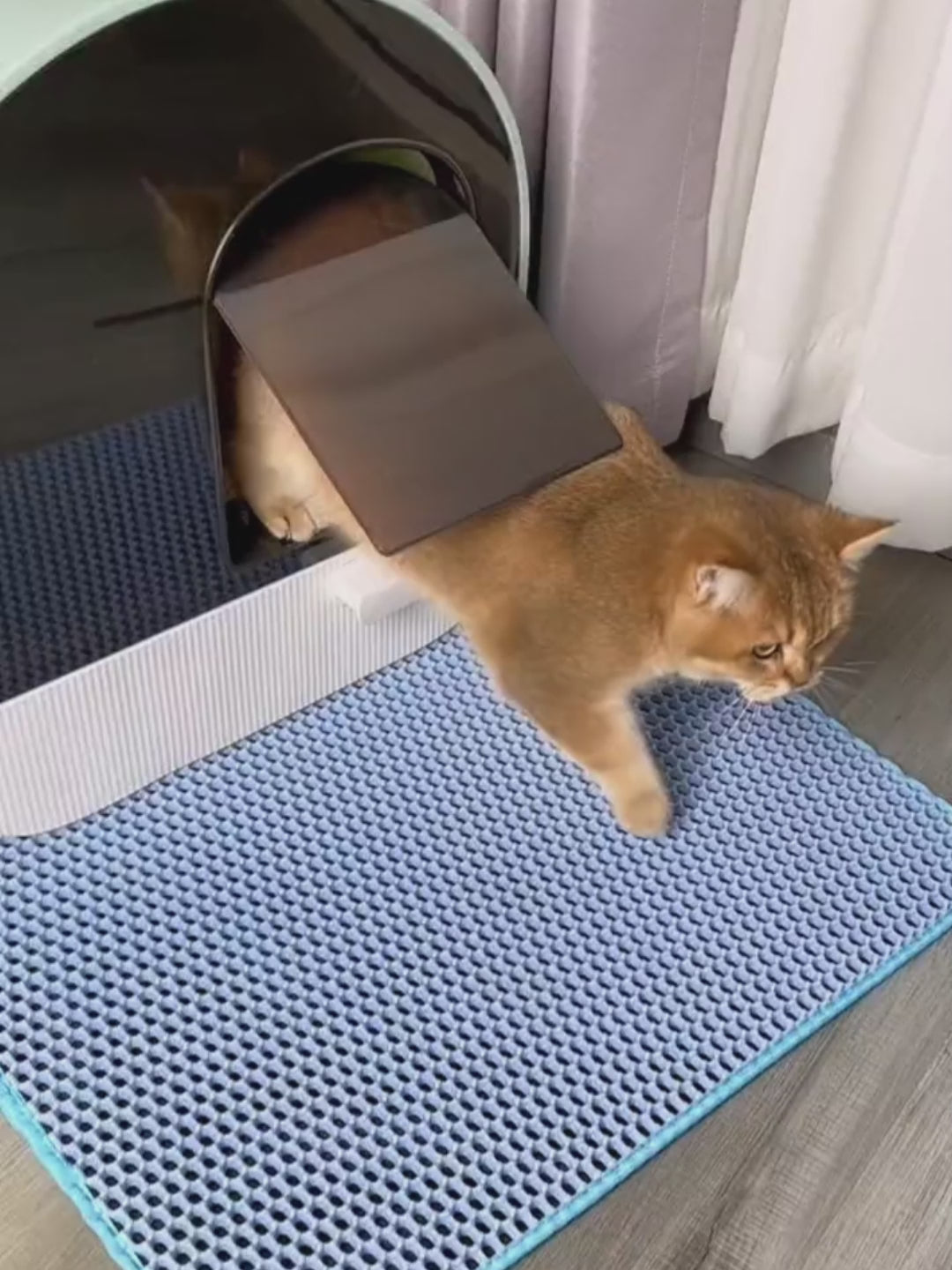 CleanStep Double-Layer Cat Litter Mat