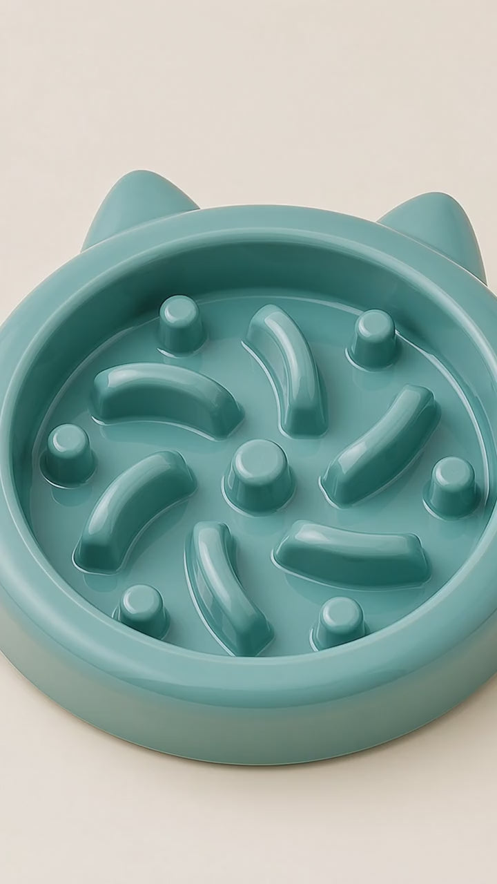 SlowSavour Pet Enrichment Bowl