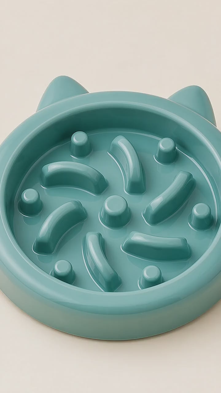 SlowSavour Pet Enrichment Bowl