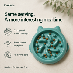 SlowSavour Pet Enrichment Bowl
